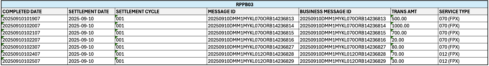 New RPPB03 Report Sample