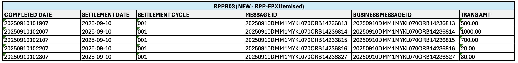 New RPPB03 Report Sample